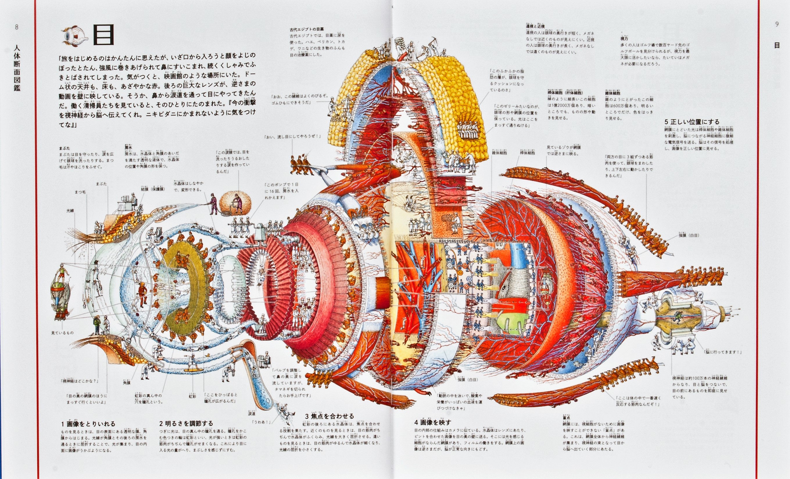 輪切り図鑑クロスセクション 〔全5巻〕 | 図書館総合展