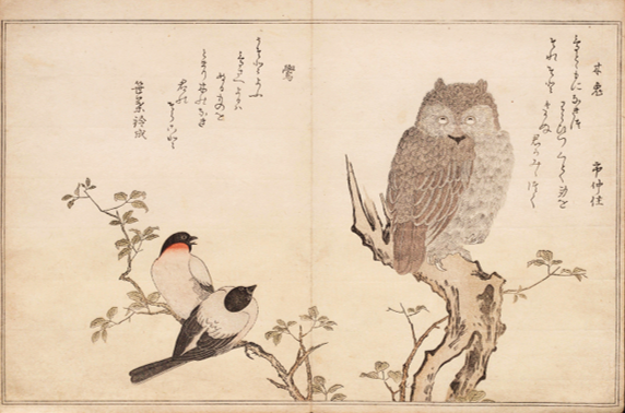 『もゝちとり』(国文学研究資料館所蔵) 