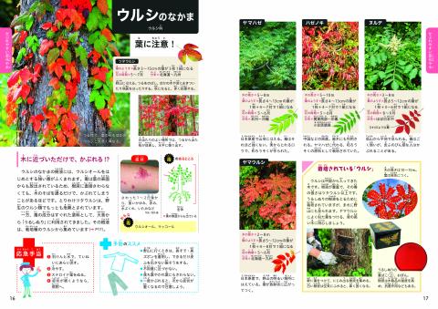 毒のある植物　見開き1