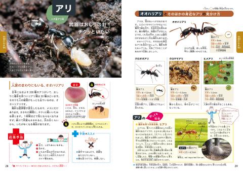 毒のある生き物　見開き2